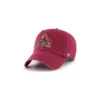 47 Brand Keps NHL Clean Up Arizona Coyotes