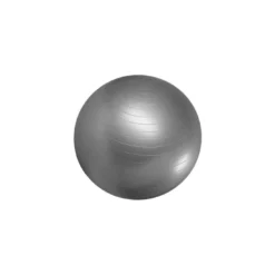 Master Fitness Gymboll