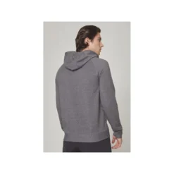 TRUE Hoodie Terry Graphic Sr Grey