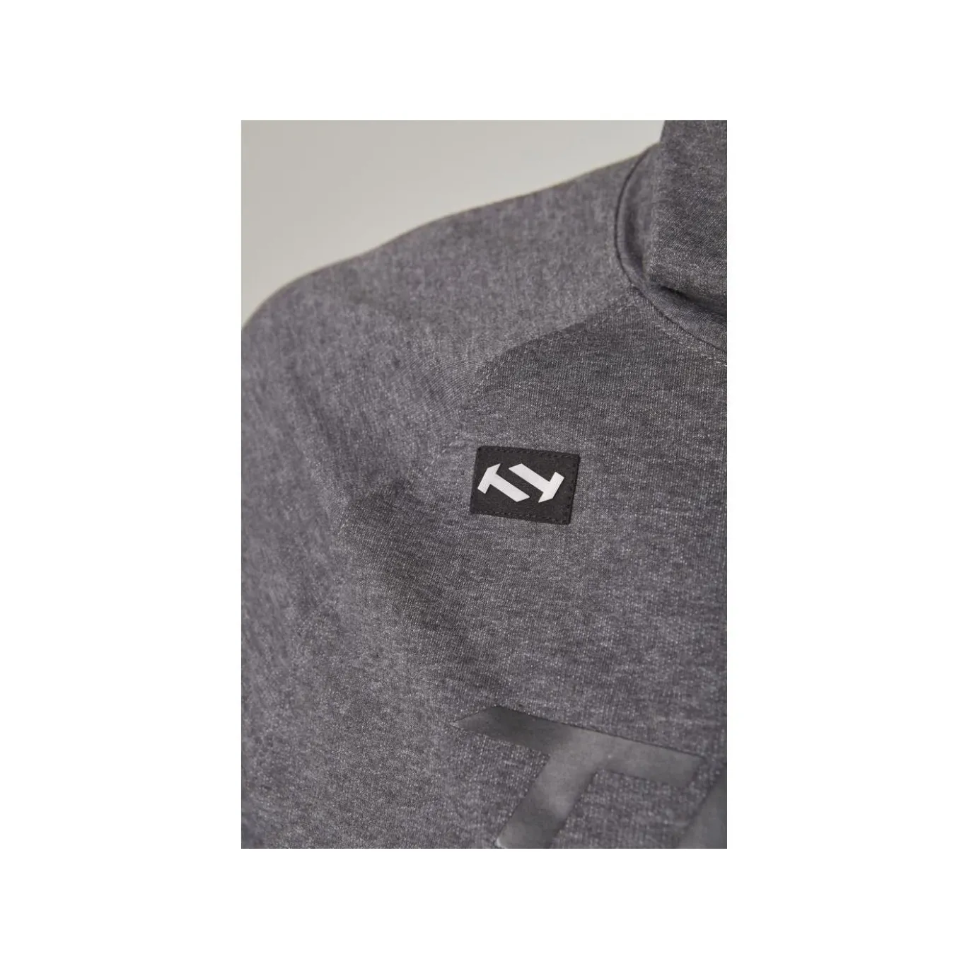 TRUE Hoodie Terry Graphic Sr Grey