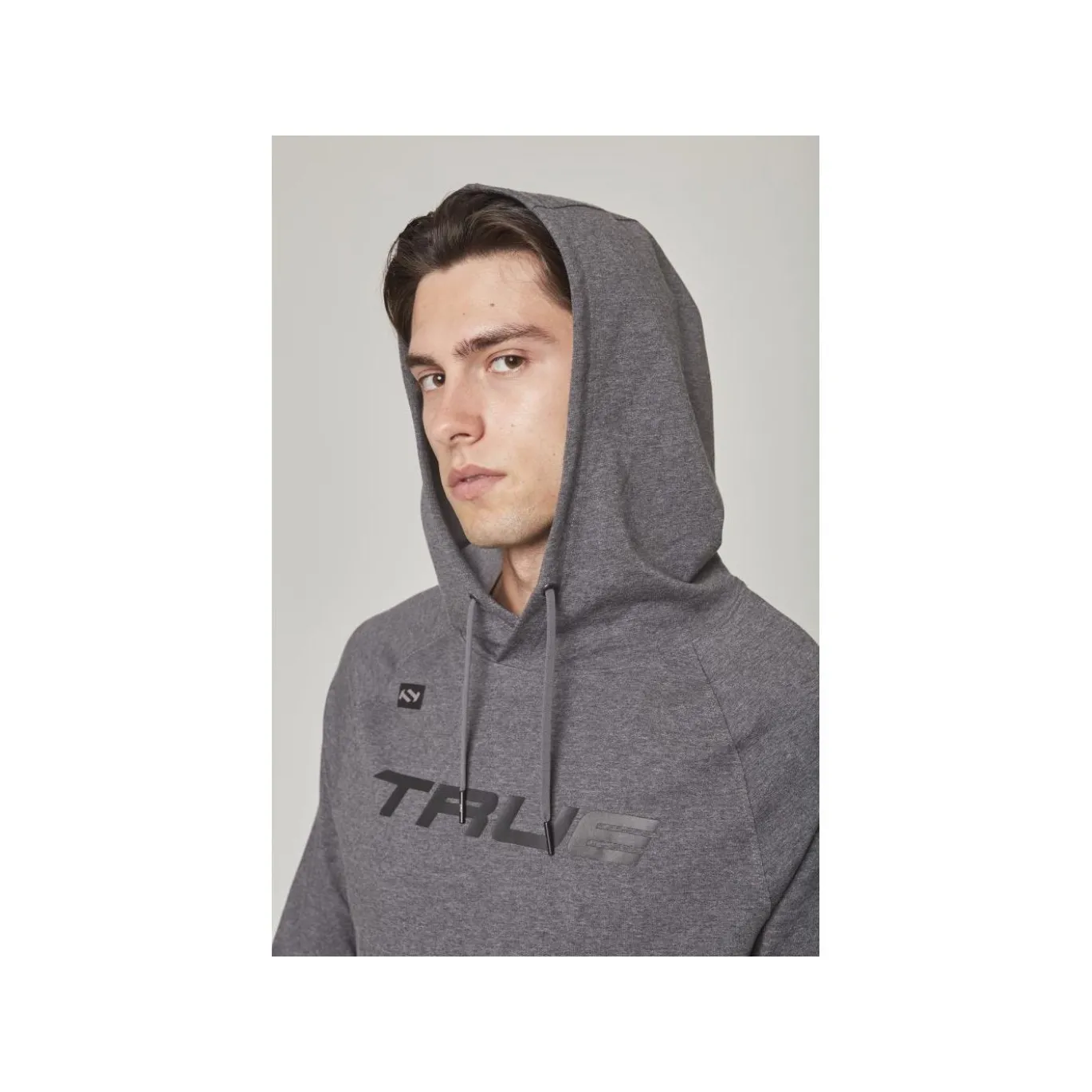 TRUE Hoodie Terry Graphic Sr Grey