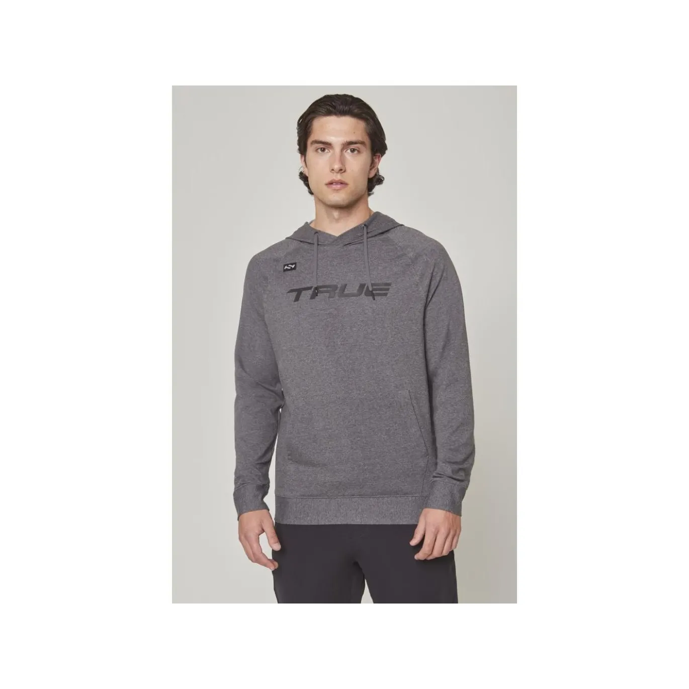TRUE Hoodie Terry Graphic Sr Grey