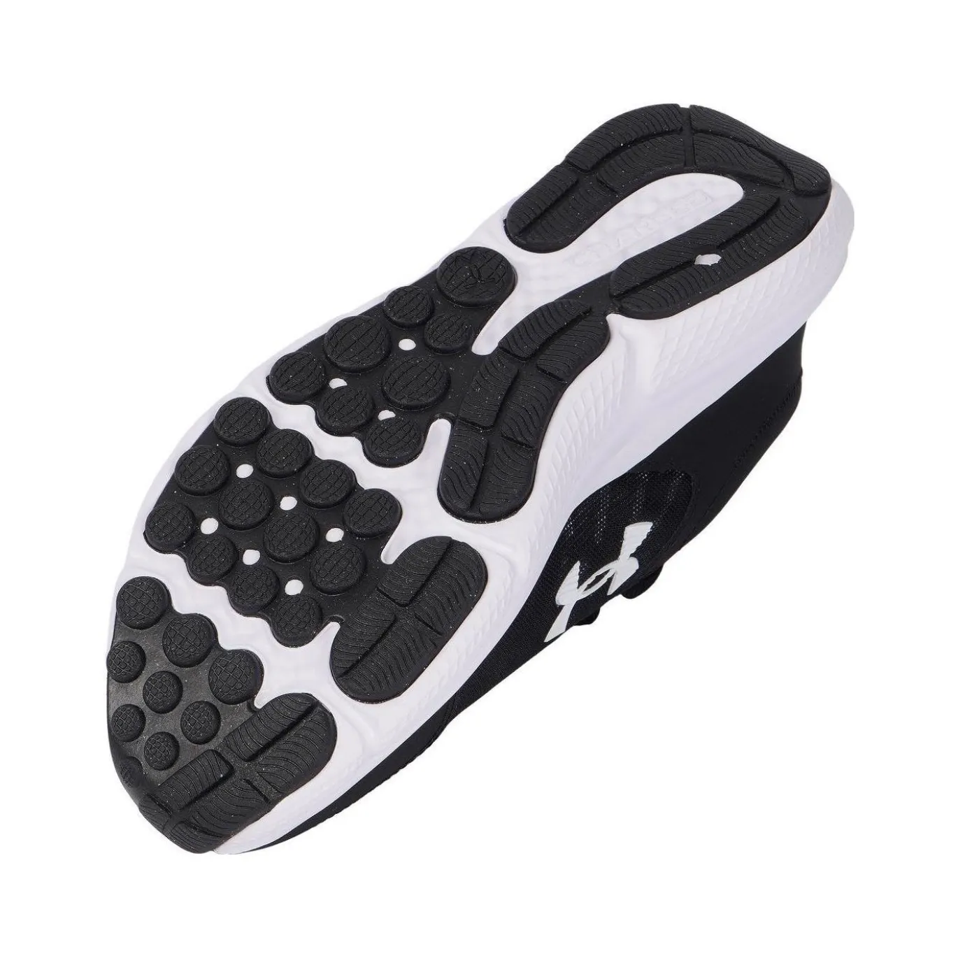 Under Armour Löparskor Charged Assert 10